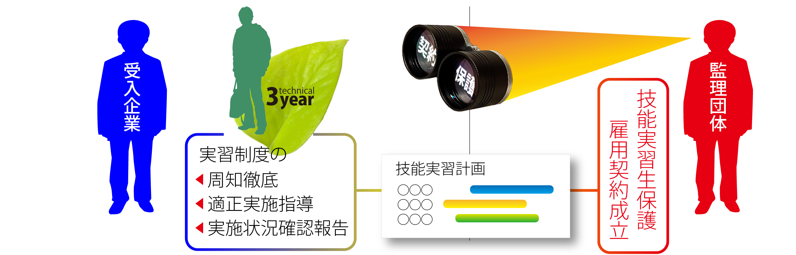 技能実習計画